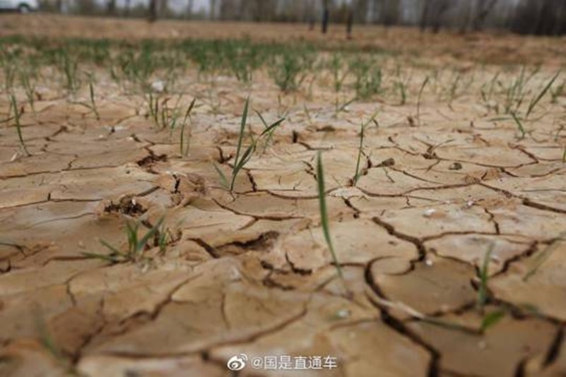 青海西寧已連續62天未出現有效<span class=