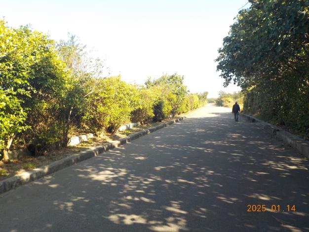 02_01_鳳坑海堤綠美化場域_水防道路.JPG