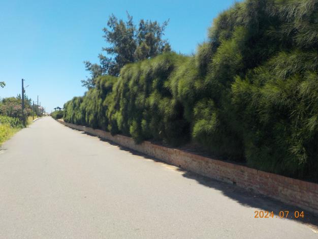 02_03_白沙屯海堤_水防道路.JPG