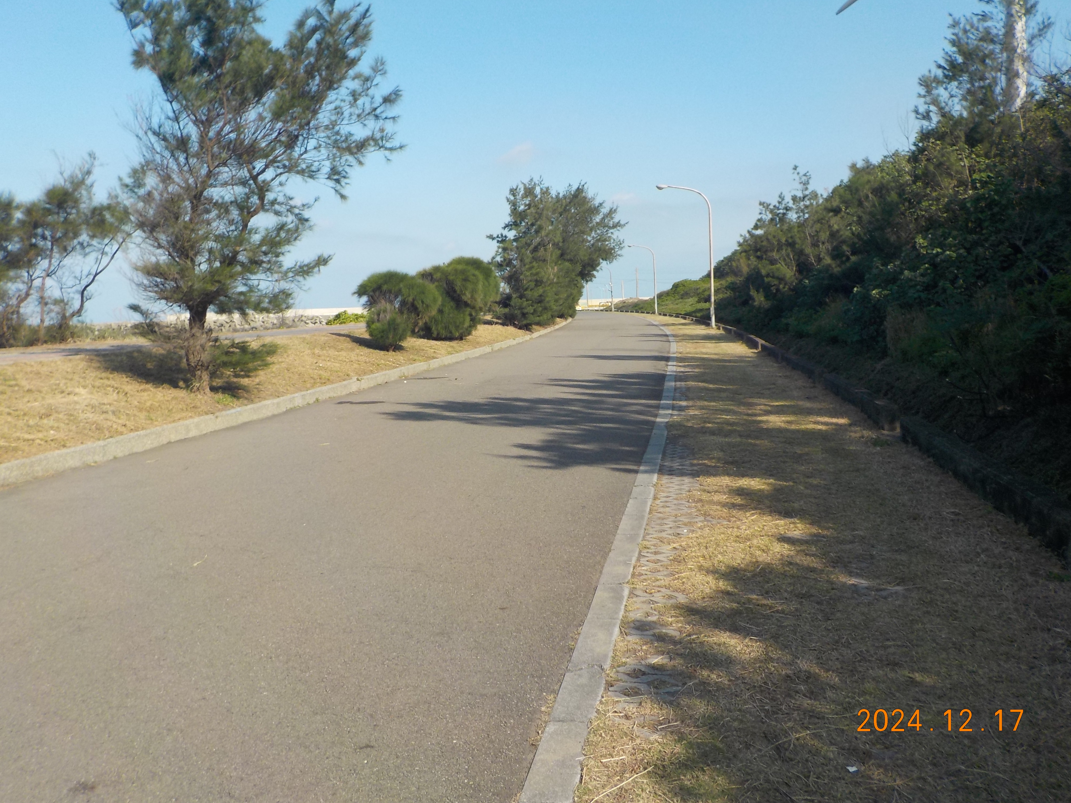 紅毛港海堤水防道路