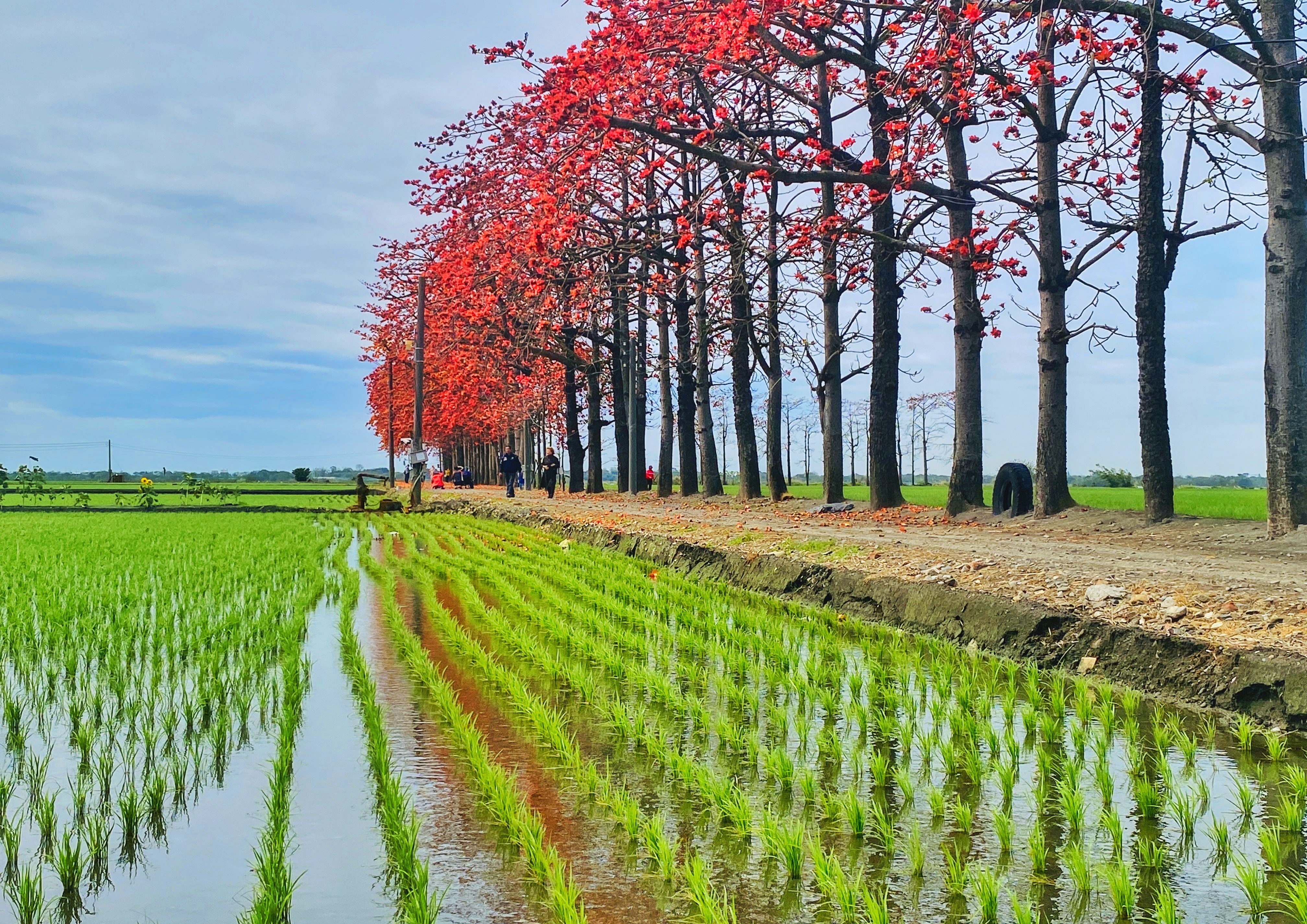 濁水溪田頭堤防周邊環境