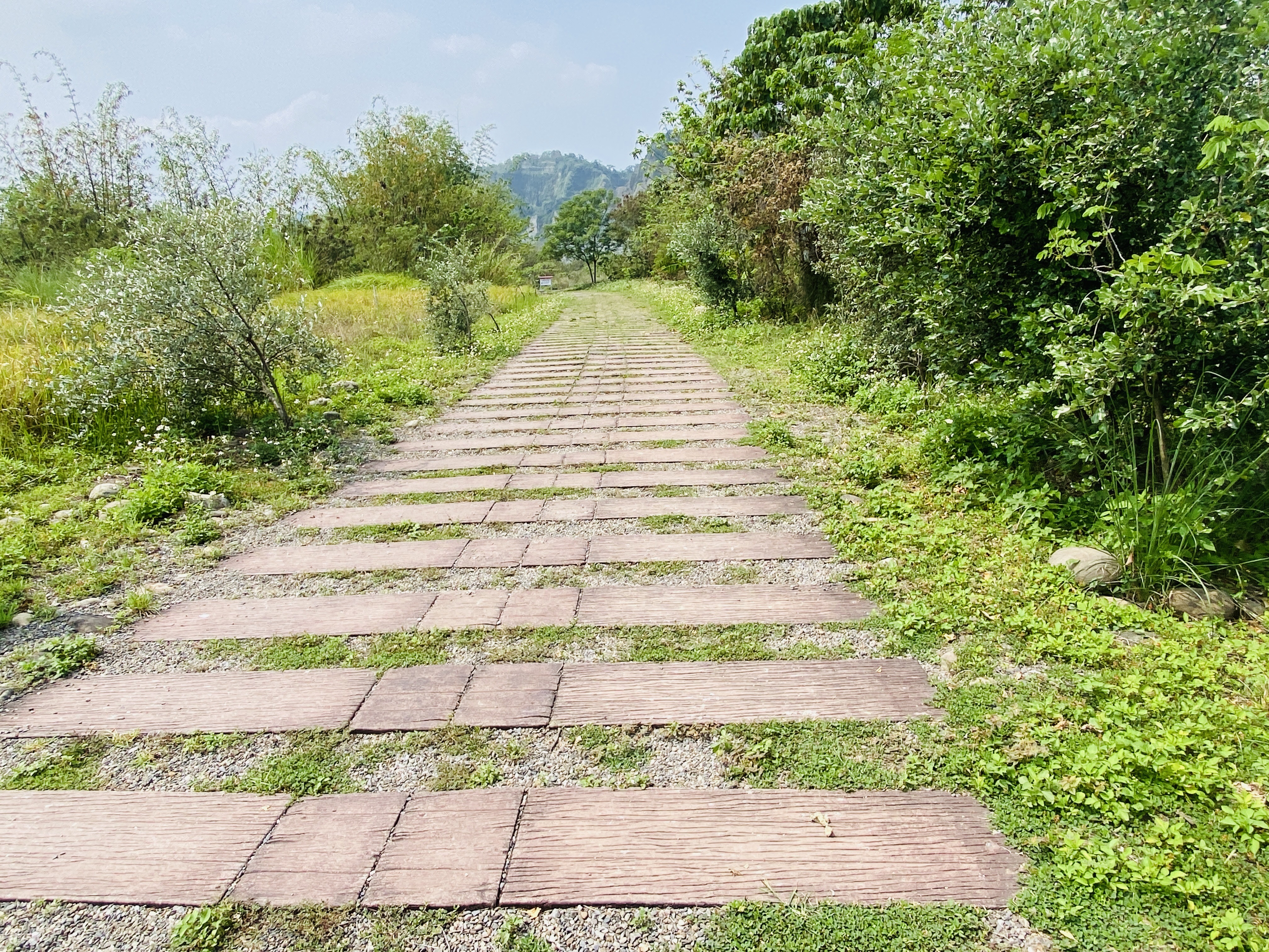 清水溪柯子坑堤防步道