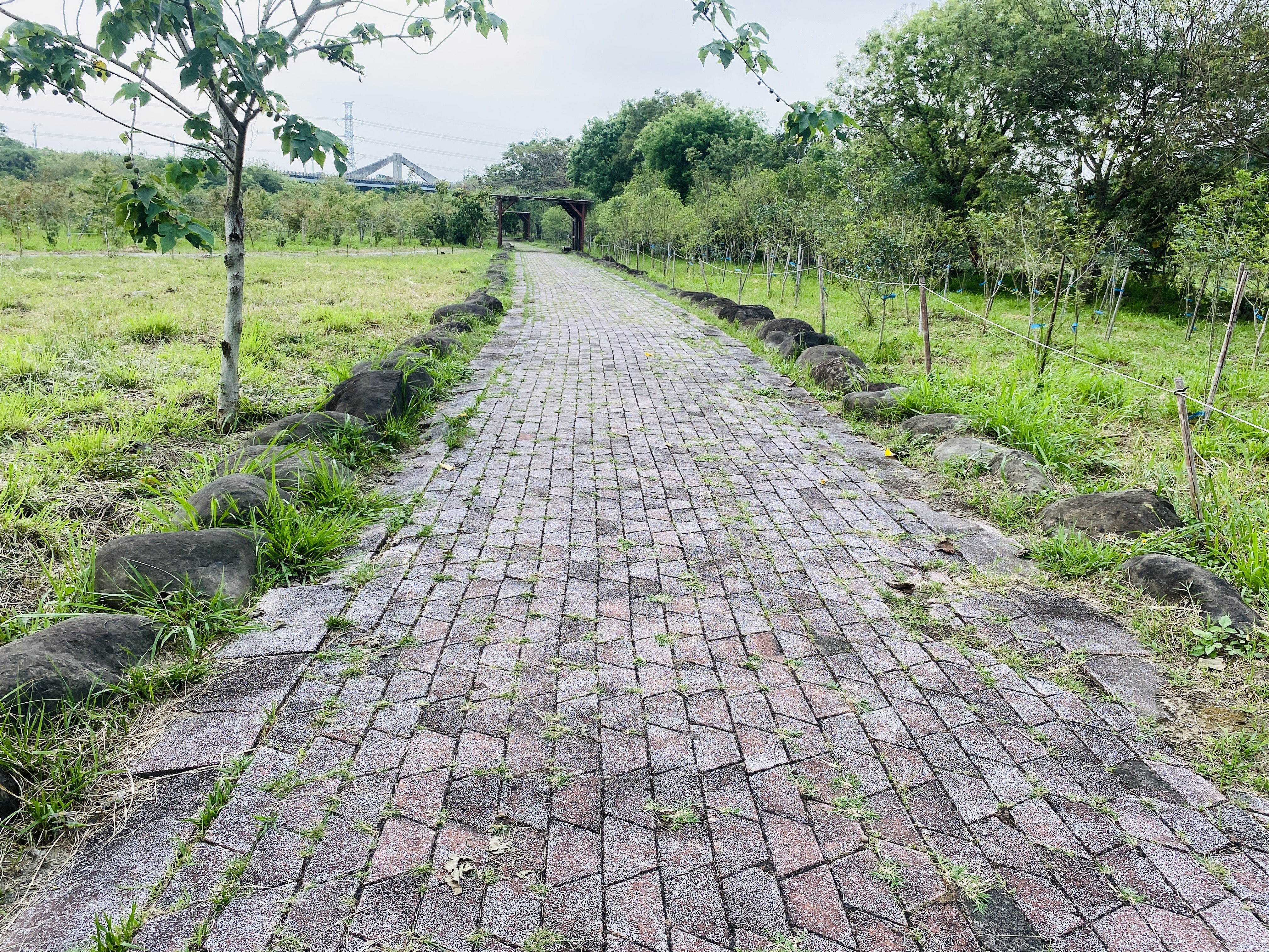 東埔蚋溪滯洪園區步道
