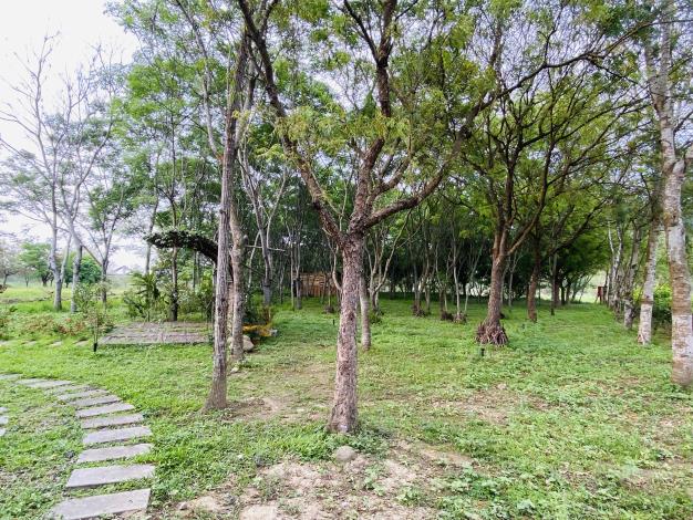 04_07_東埔蚋溪滯洪池老樹廣場及太極雙園綠美化場地_滯洪池園區