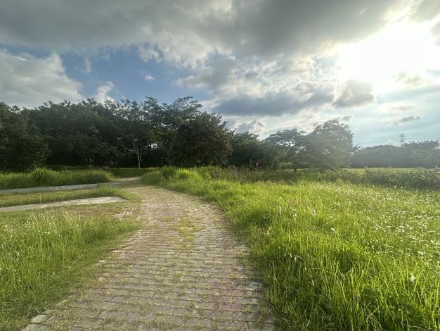 05_05_牛稠溪仁義橋下游右岸高灘地_步道