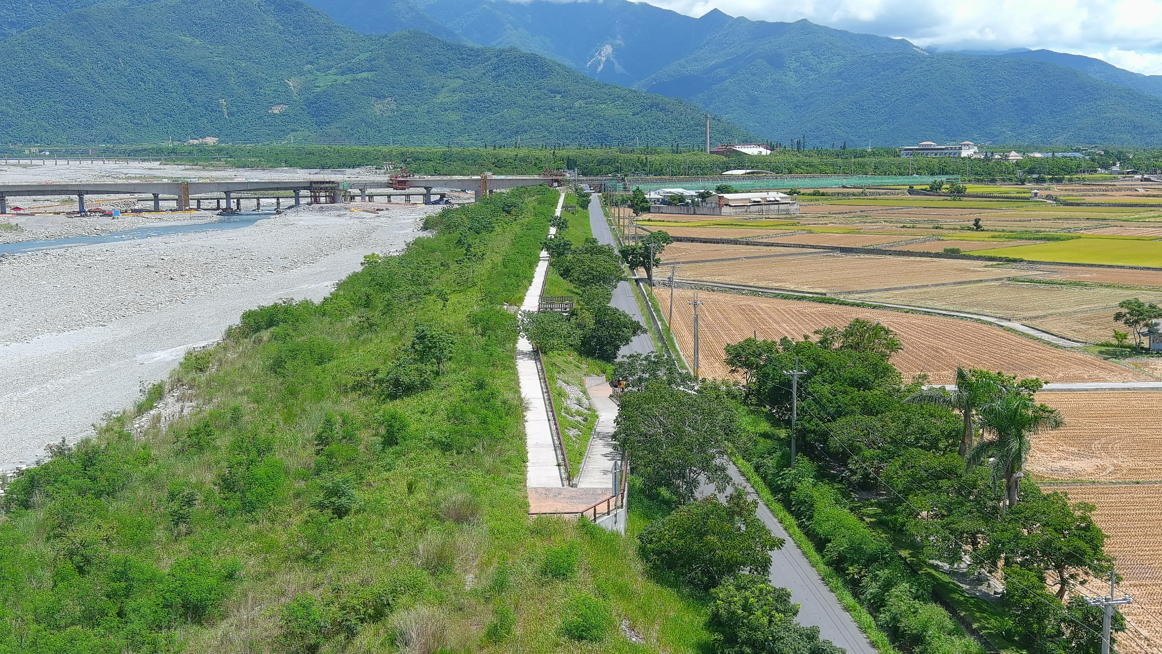 卑南溪伯朗大道綠美化場域堤頂景觀
