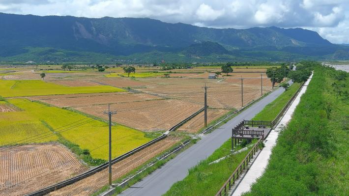 08_02_卑南溪伯朗大道綠美化場域_堤頂景觀.JPG