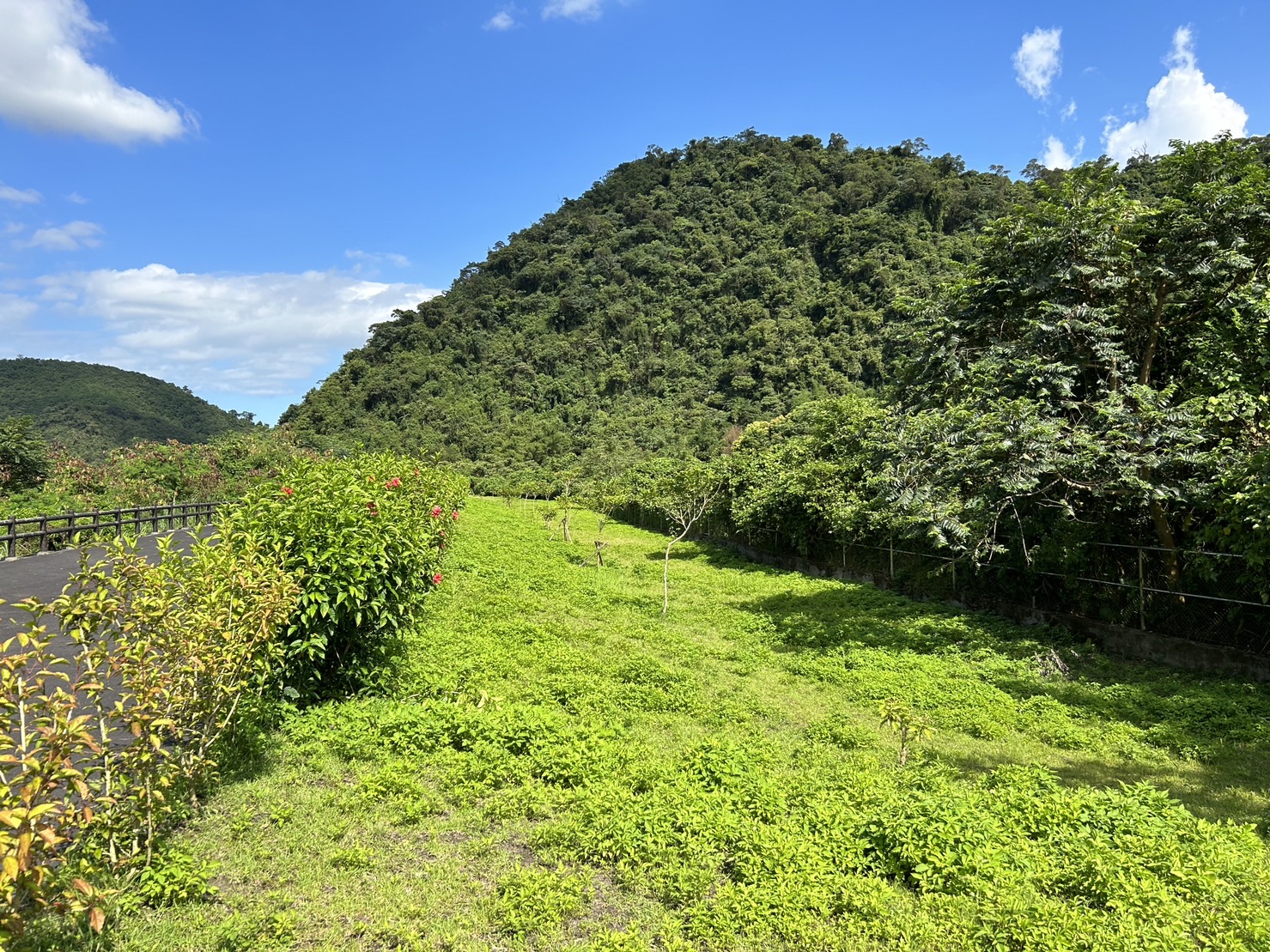 粗坑溪粗坑橋至下游左右岸入口