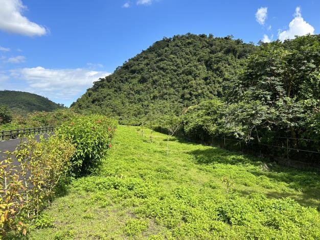 01_05_粗坑溪粗坑橋至下游左右岸400公尺綠美化場地_入口處