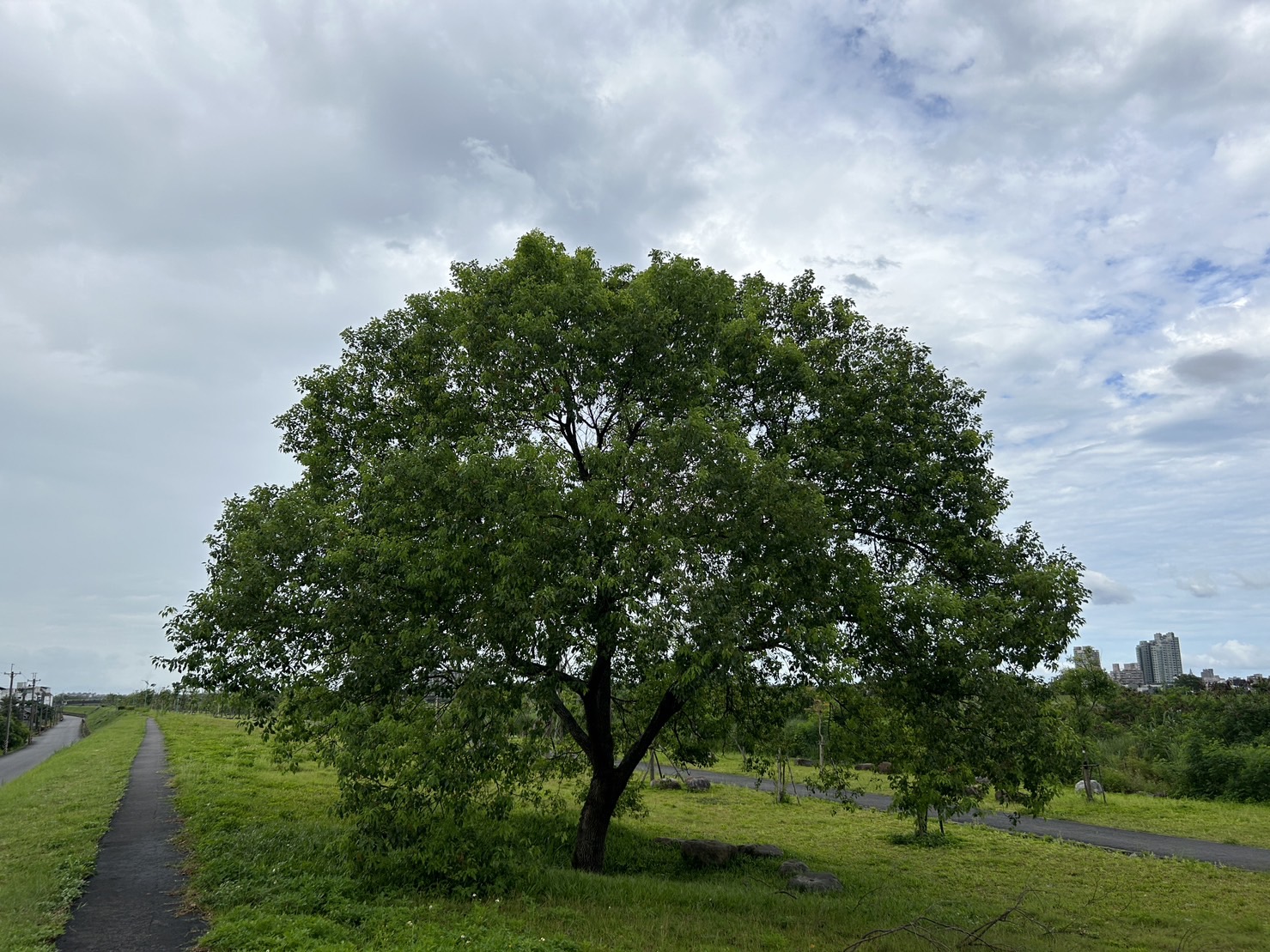 羅東溪廣興大橋至北成橋間左岸高灘地