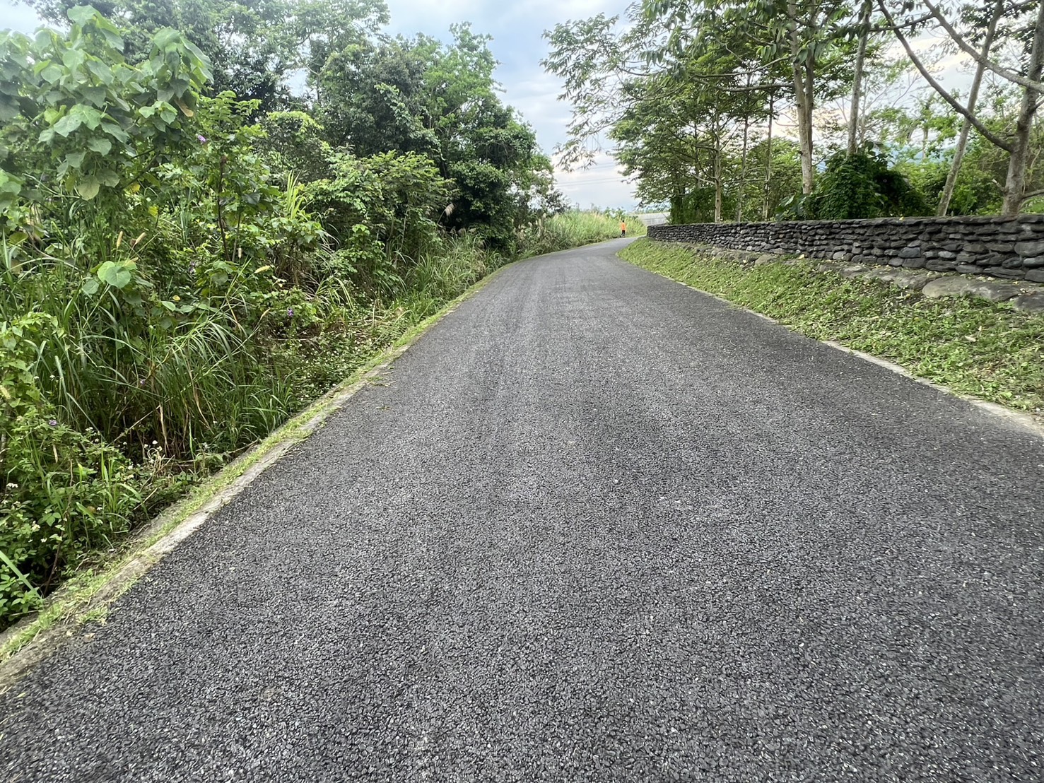大湖溪鼻仔頭橋至尚德橋間綠美化場域道路兩側