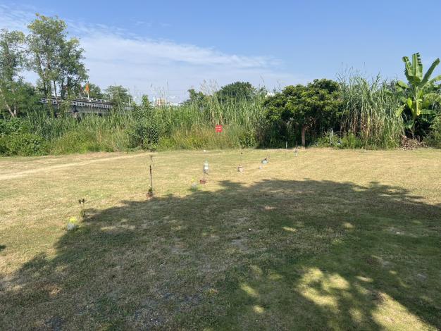 05_01_八掌溪忠義橋上游左岸高灘地綠美化土地_高灘地