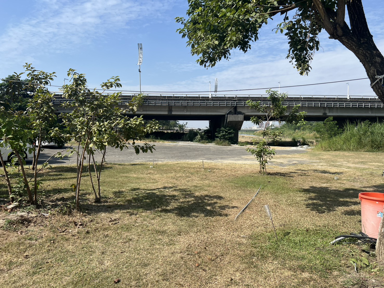 八掌溪忠義橋上游左岸周邊綠化