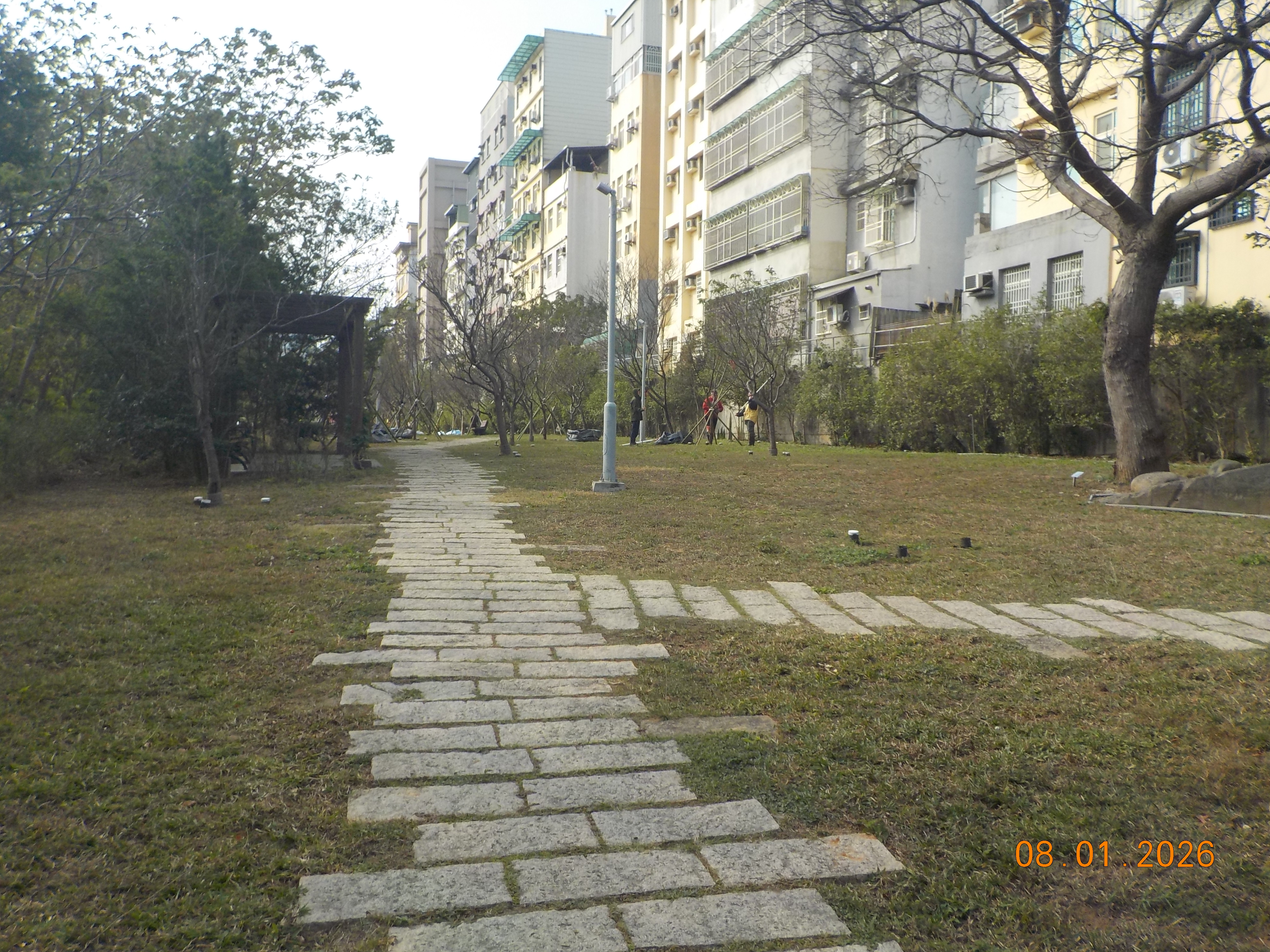 柯子湖溪旁櫻花公園