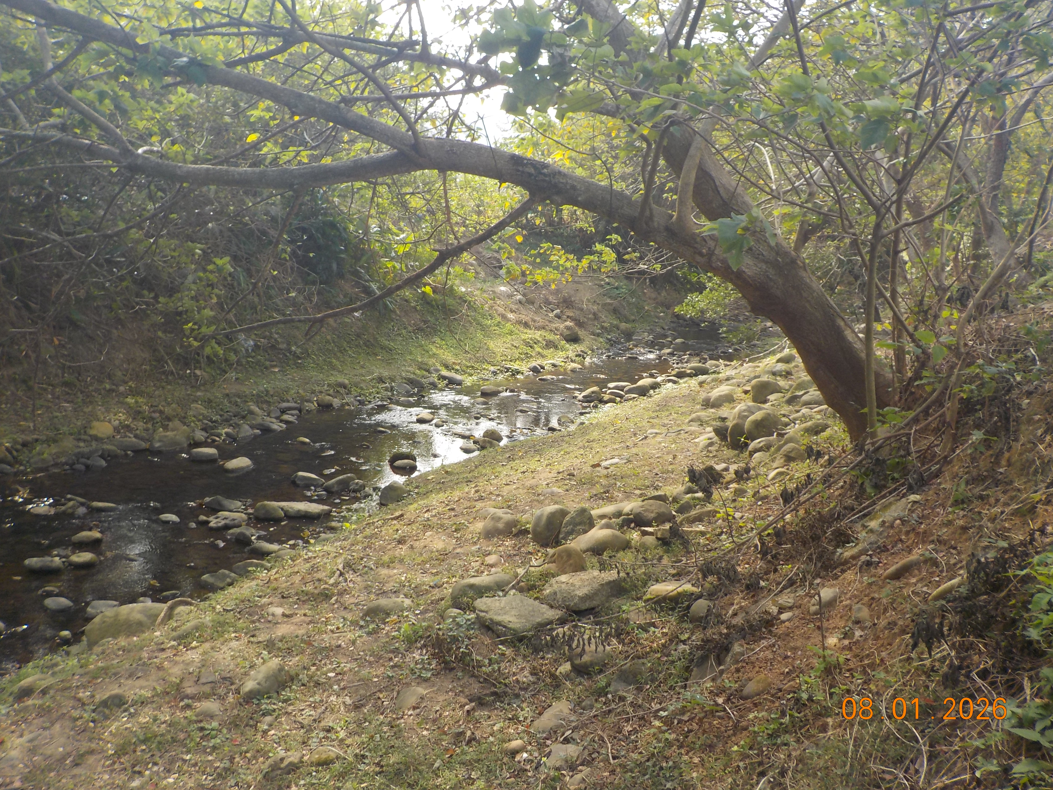 柯子湖溪河川生態