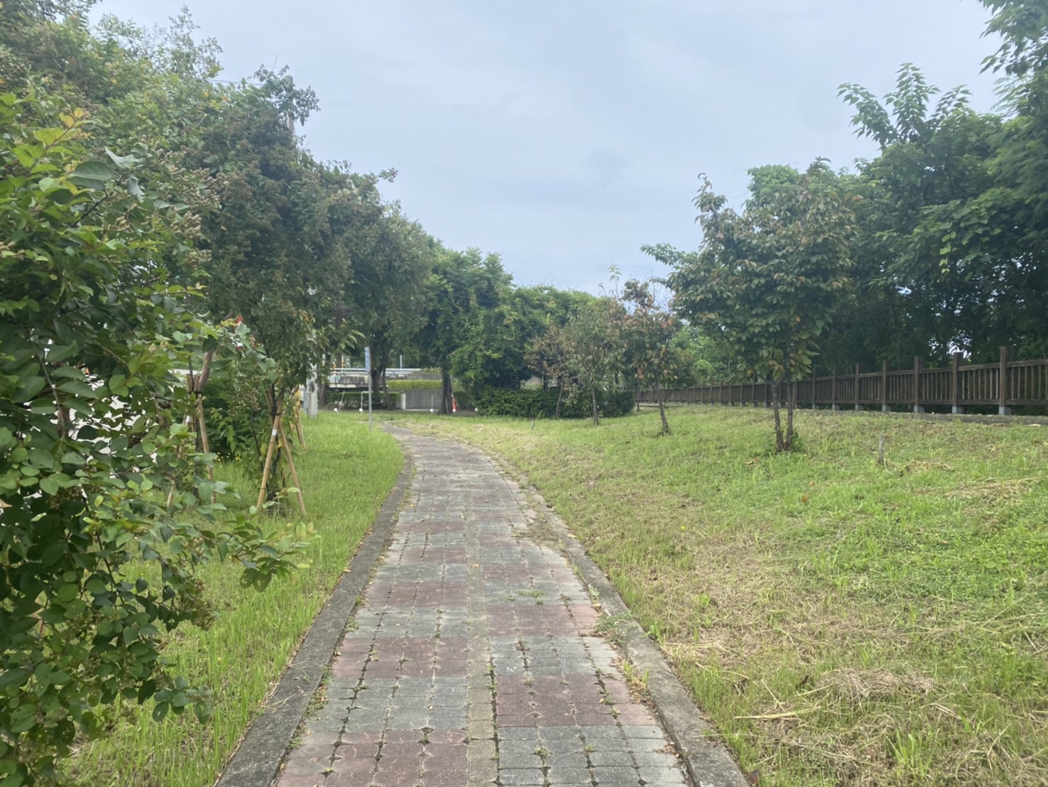 綠美化步道