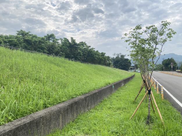 02_04_苗栗縣南庄鄉中港溪支流南庄溪4座堤防綠美化場地_堤後綠化