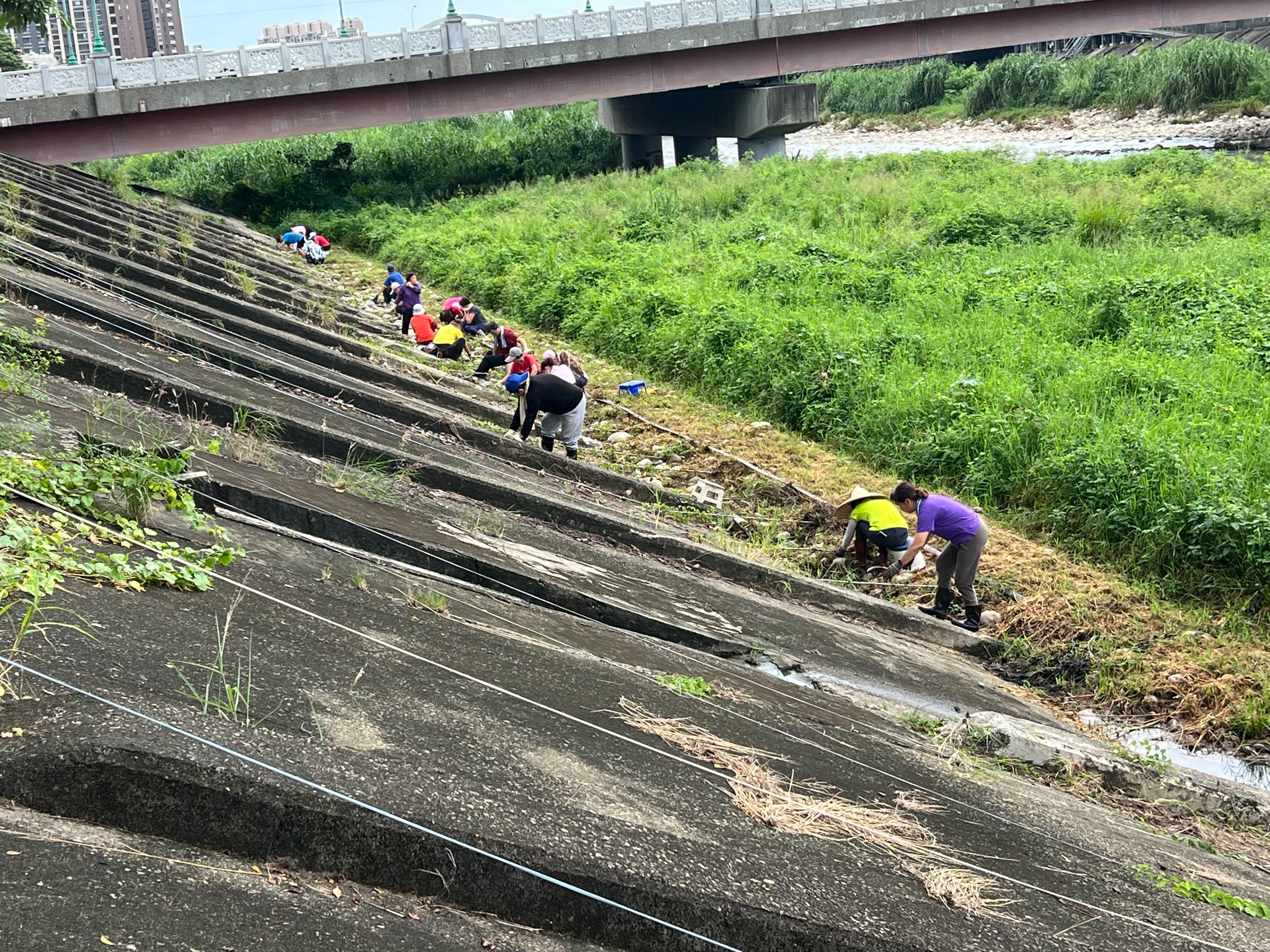 堤前綠化