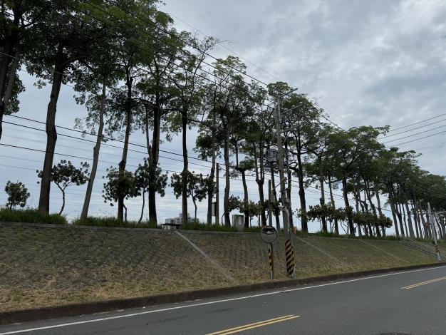 06_07_鹽水溪右岸溪心寮堤防(安富里範圍)堤後