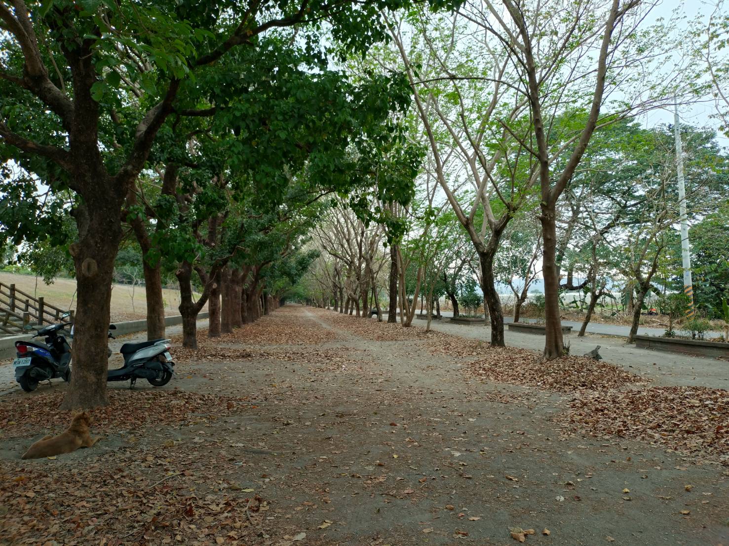 周邊步道