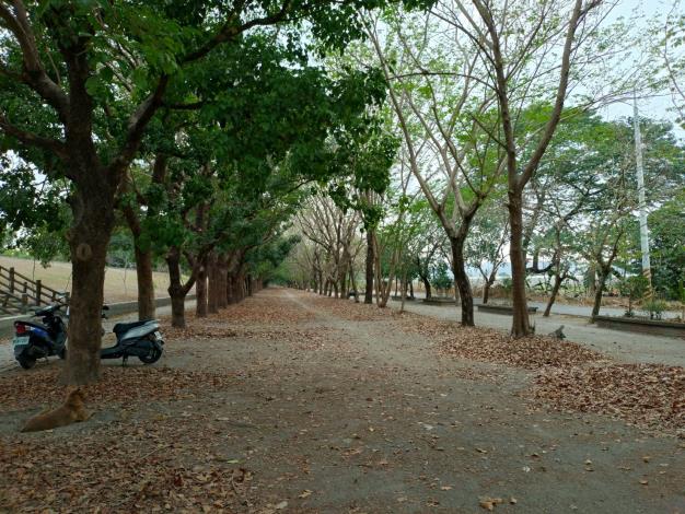 07_02_隘寮溪里港綠美化場地維護管理(里港大橋下游)_周邊步道