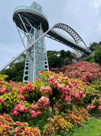 5水庫樂活行，春節踏青好去處：曾文水庫-觀景樓