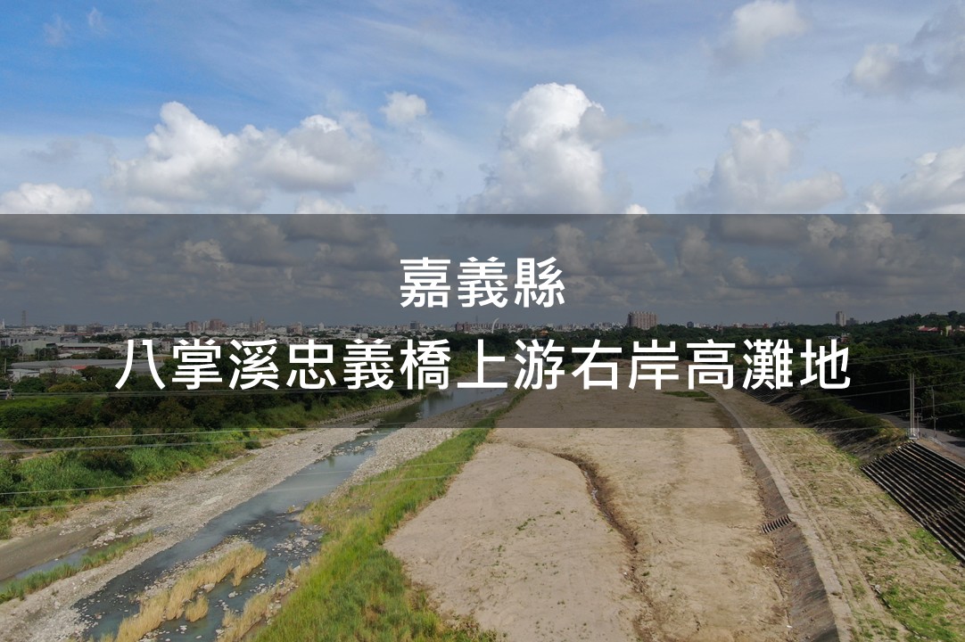 嘉義縣-八掌溪忠義橋上游右岸高灘地綠美化場域