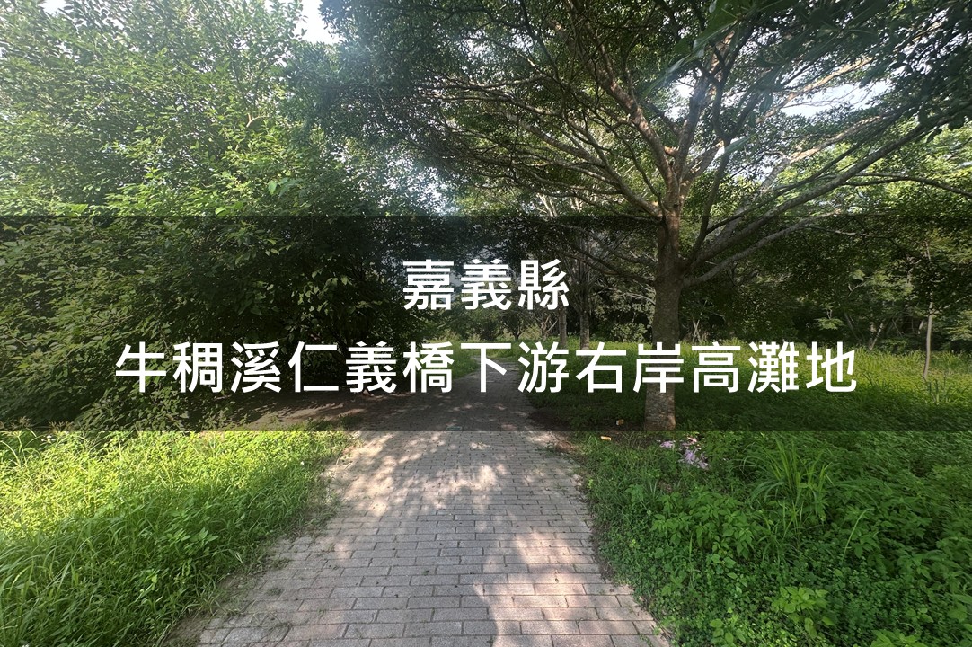 嘉義縣-牛稠溪仁義橋下游右岸高灘地綠美化場域