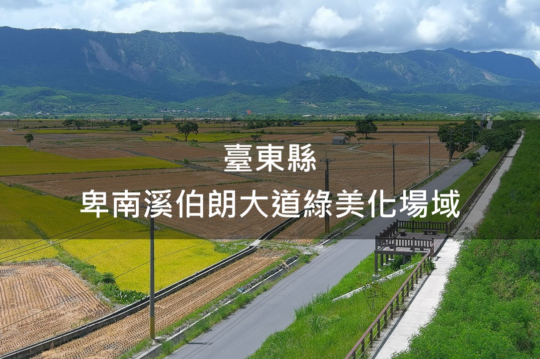 臺東縣-卑南溪伯朗大道綠美化場域