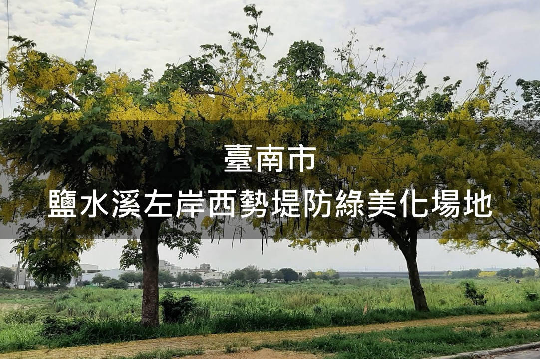 臺南市-鹽水溪左岸西勢堤防綠美化場地