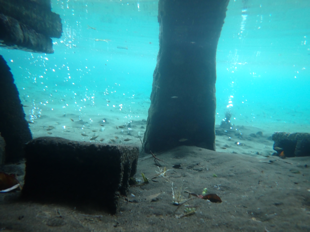 探秘雷公埤湧泉埤塘，見證泉水從地底湧現的奇景