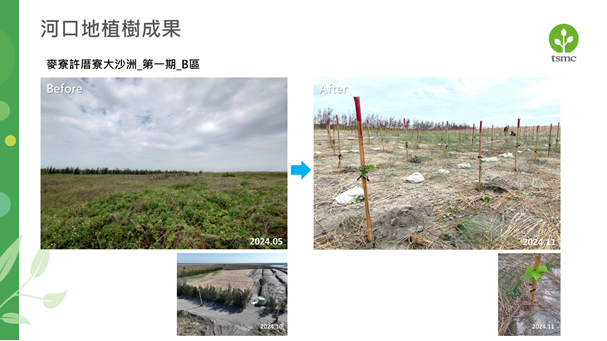 「台積電植樹薪傳計畫」成果