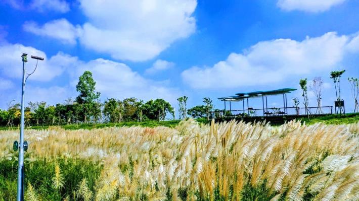 LINE_ALBUM_二仁溪五期_260408_5