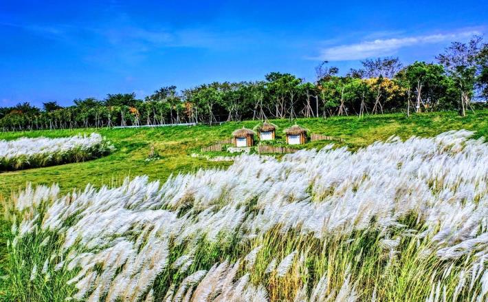 LINE_ALBUM_二仁溪五期_260408_2