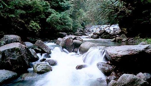 位於三峽河上游的大豹溪，有大大小小的瀑布景觀，森林茂密原始自然_圖示