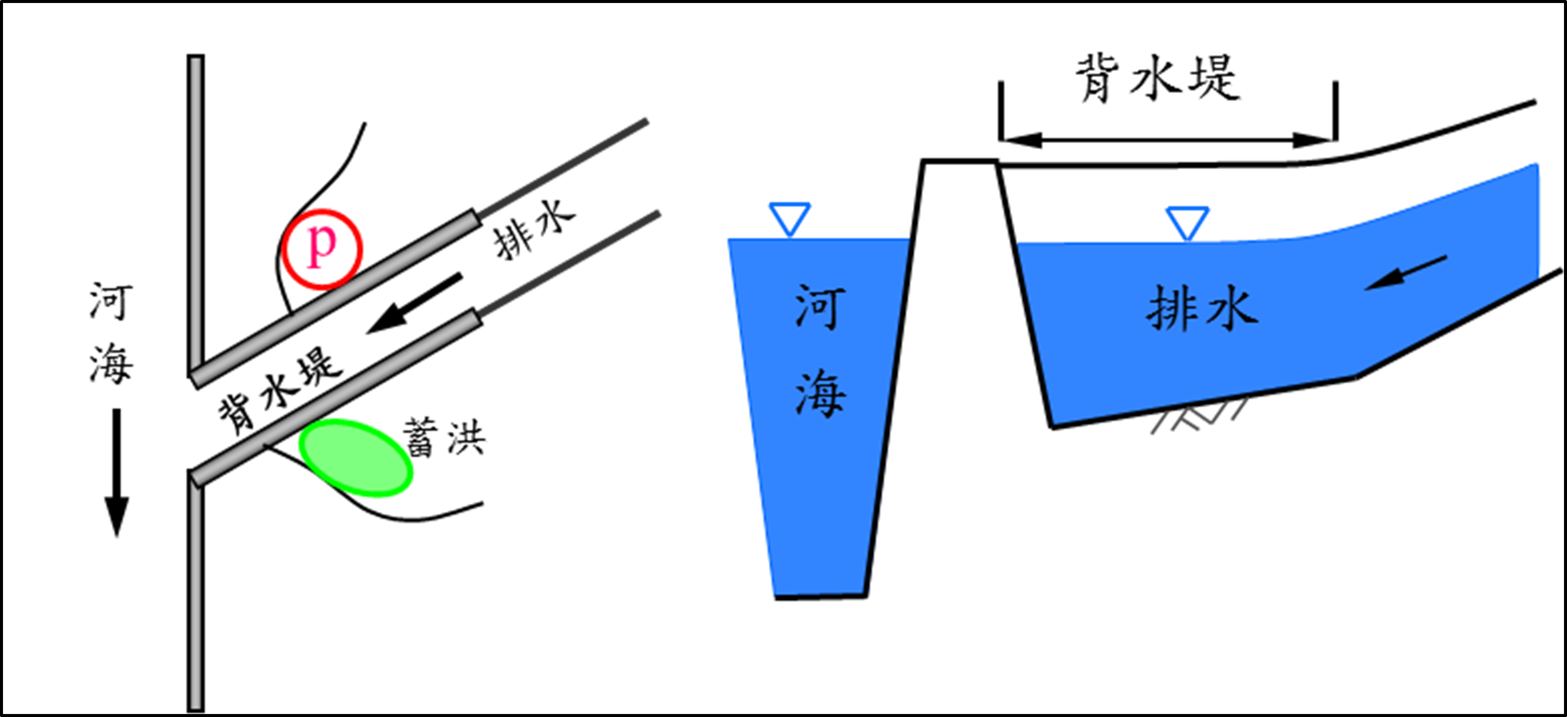 圖3 排水出口段背水堤