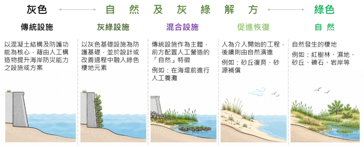圖1 灰色工程（傳統設施）至綠色自然解方之連續光譜