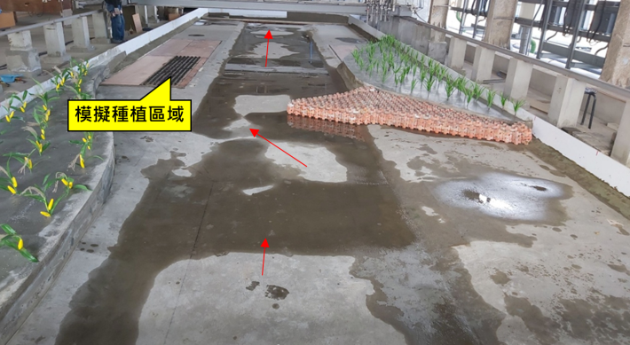 斜向流水工模型試驗照片