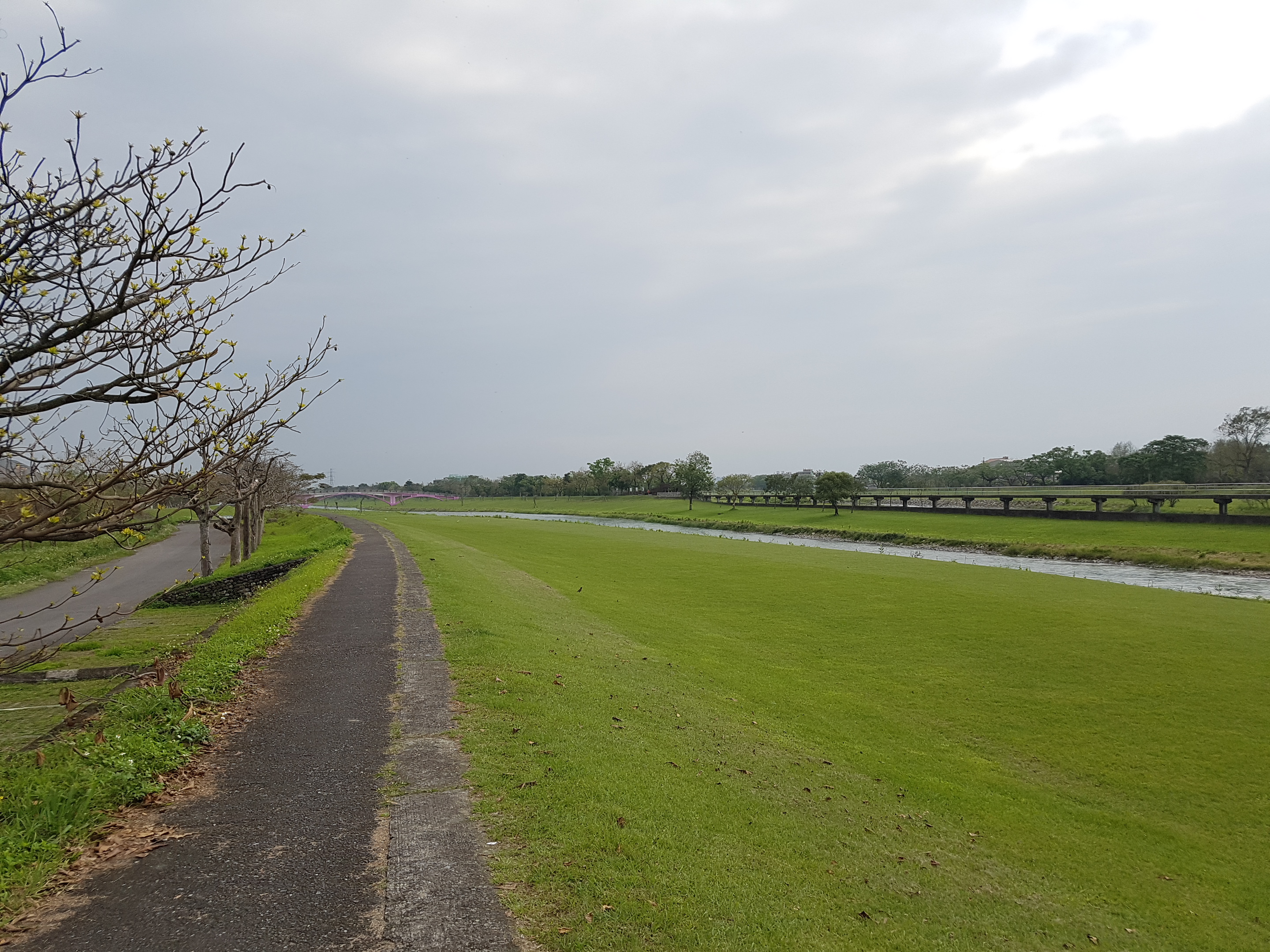 Annong River, a Tributary of the Lanyang River System – Dazhou Left-Bank Levee – 2016 River Regulation Planning