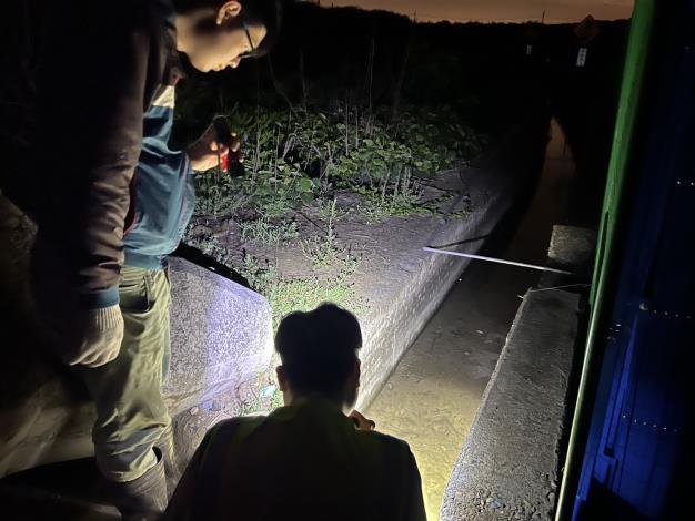 1140526生態補充調查