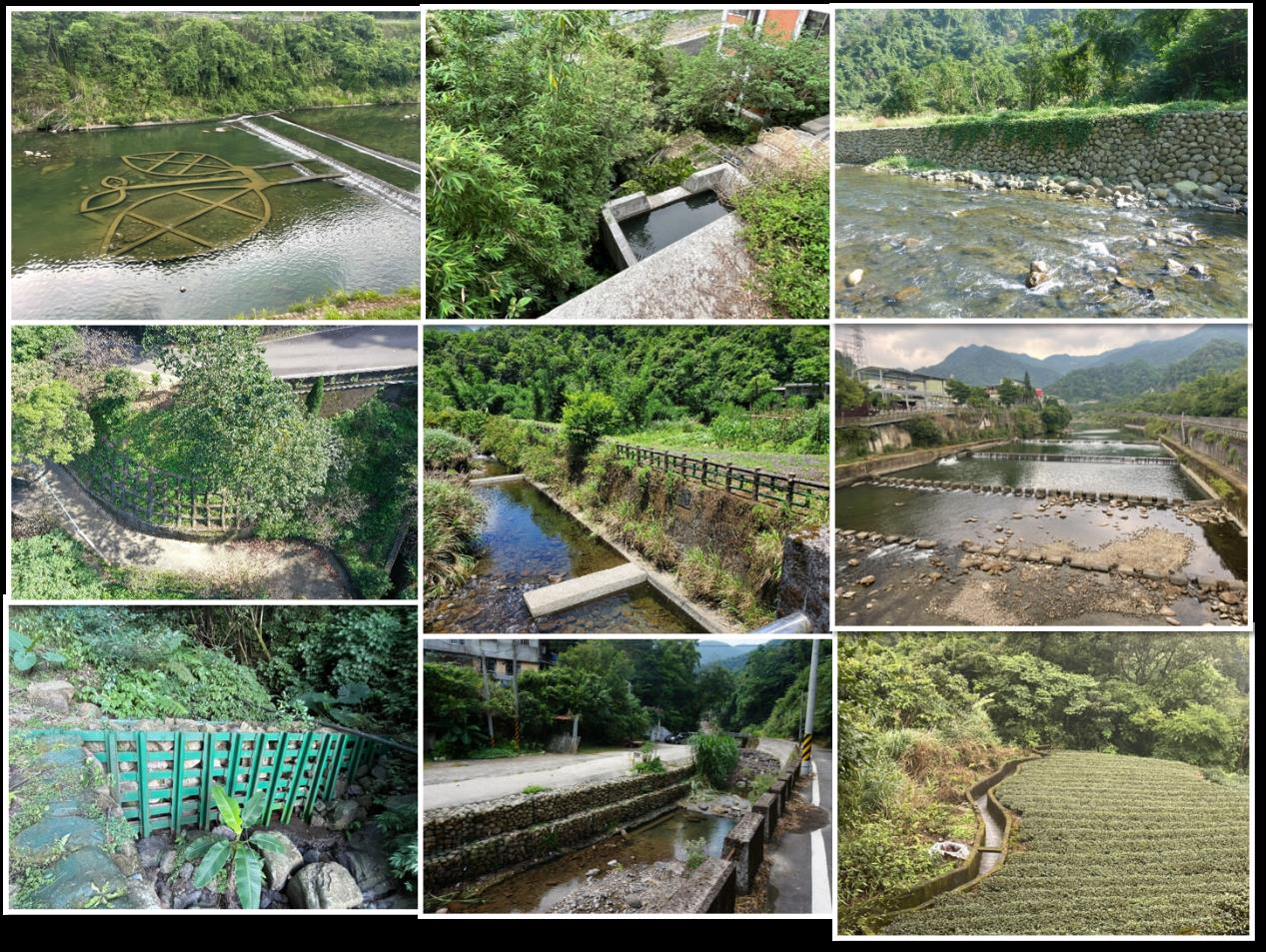 各種不同類型的保育工程設施來維護水質與水量