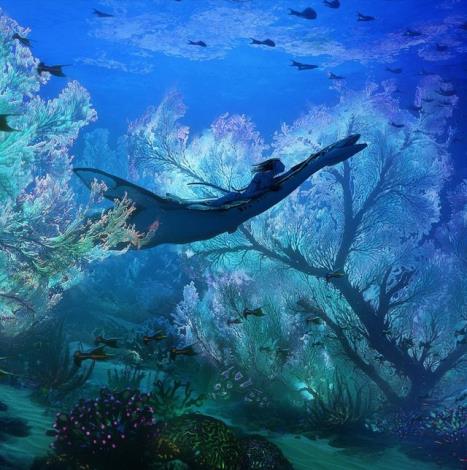 絢麗的海底世界(圖片來源：20世紀影業)_圖示