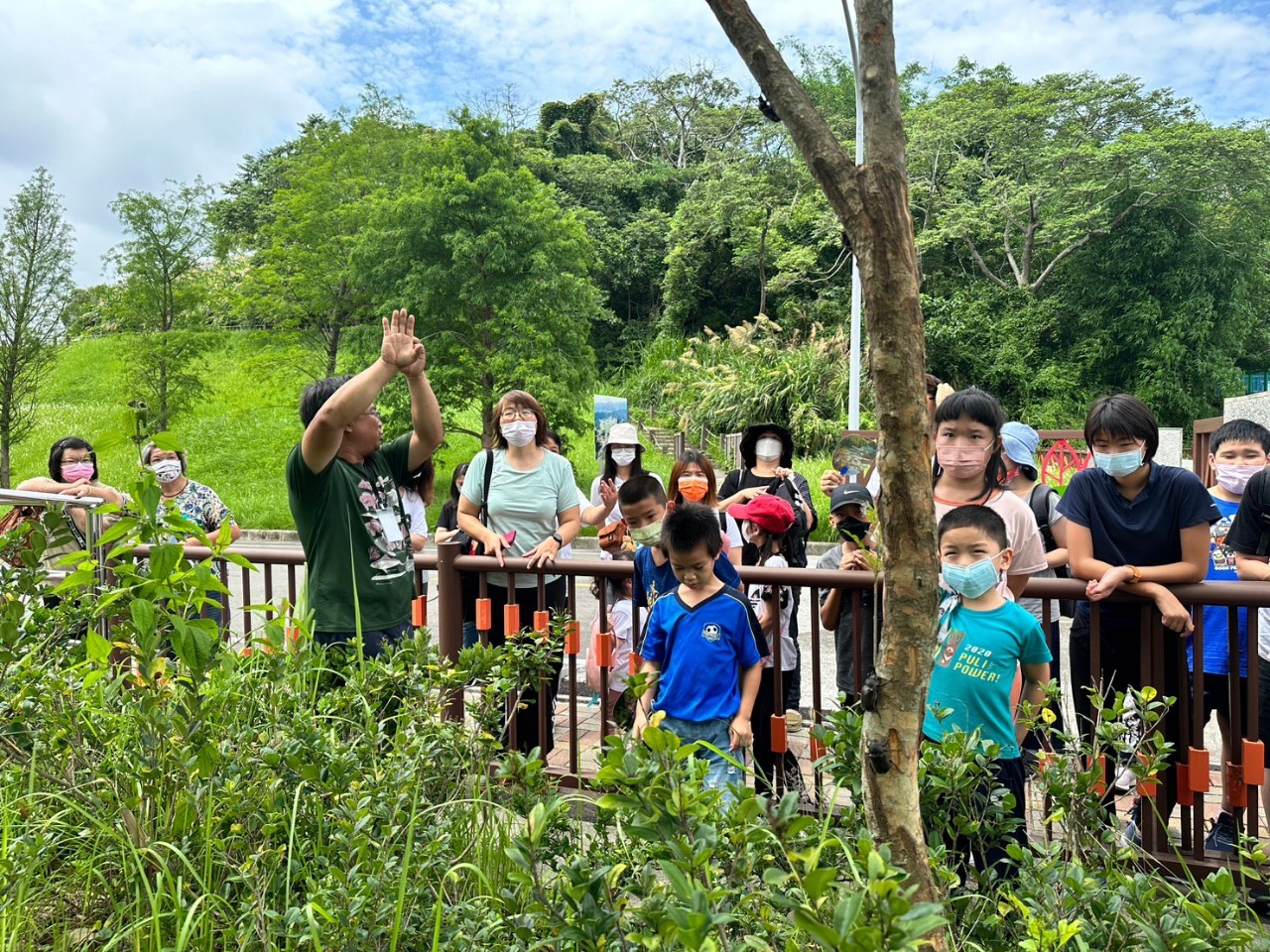生態保育講師帶領大小朋友至湖管中心周邊復育的光蠟樹林觀察解說_pic