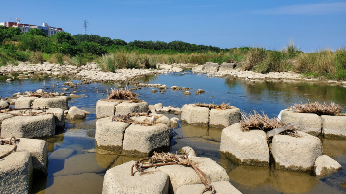 二河分署生態調查人員測量推估既有人工構造物周圍水域流量約8cms、平均水深約30-40cm。_圖示