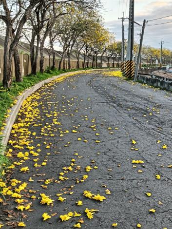 花開花落_圖示