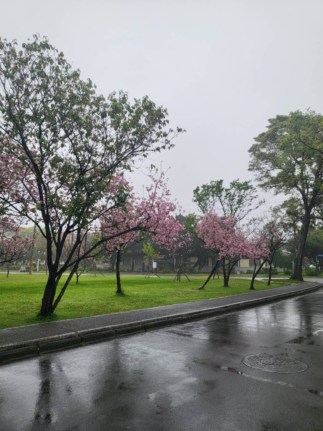 雨天的園區風景