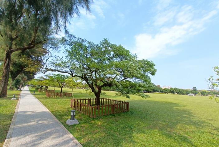 天晴大草坪_圖示