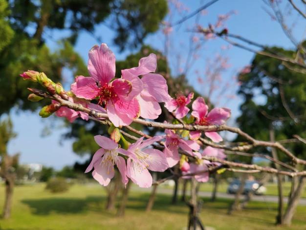 春暖花開_圖示