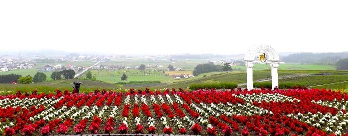 圖片5日之出公園展望台_圖示