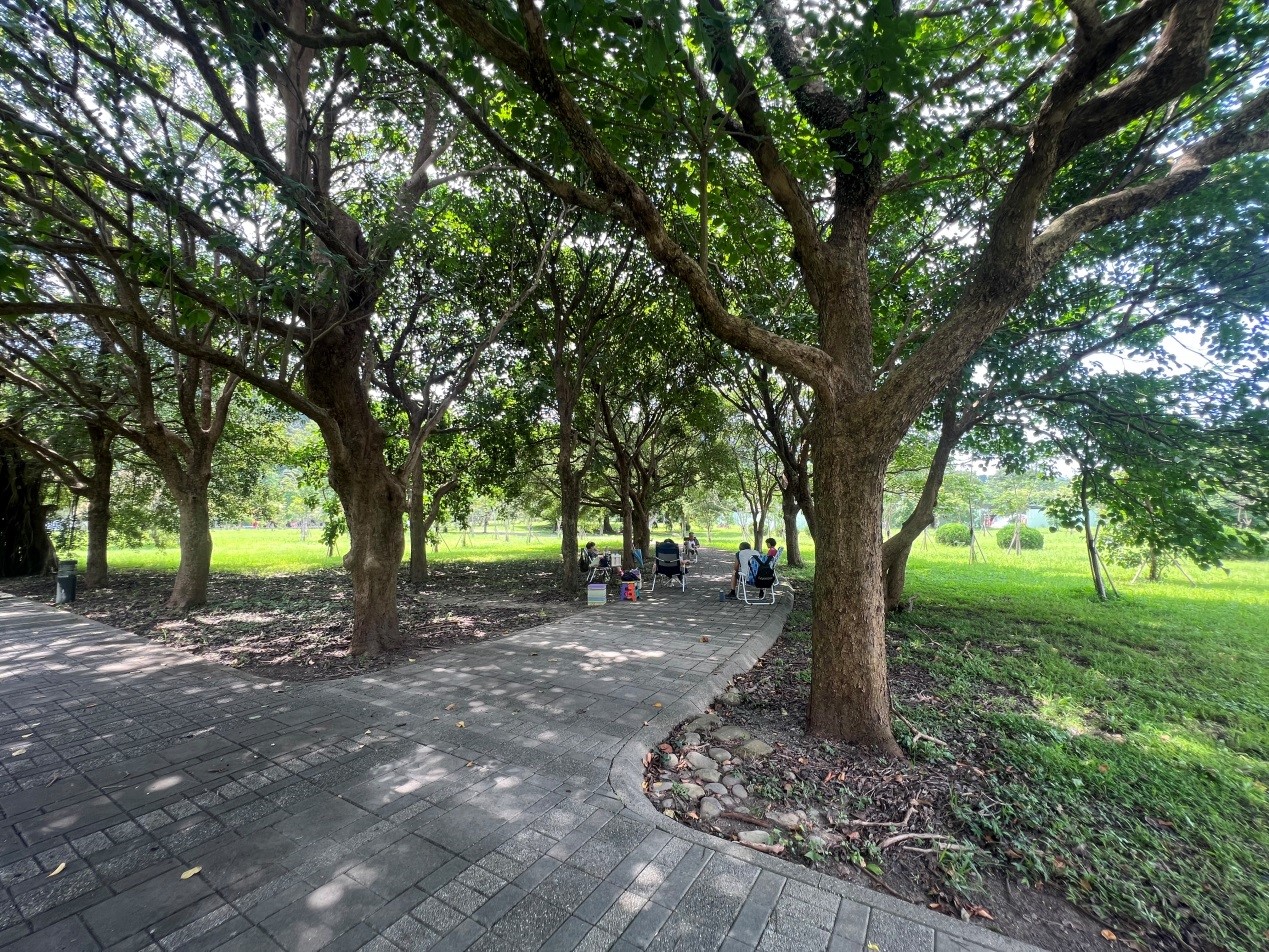 種植原生樹種，遮蔭有益於園區生態營造